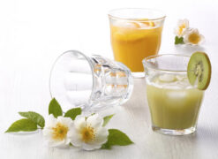 Duralex Picardie 9 cl Tumbler Set 6 Stück 5 Duralex Picardie 9 cl Tumbler Set 6 Stück – Bild 3