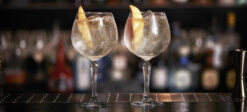 Onis SPKSY 58 cl Gin & Tonic Set 6 Stück 4 Onis SPKSY 58 cl Gin & Tonic Set 6 Stück – Bild 2